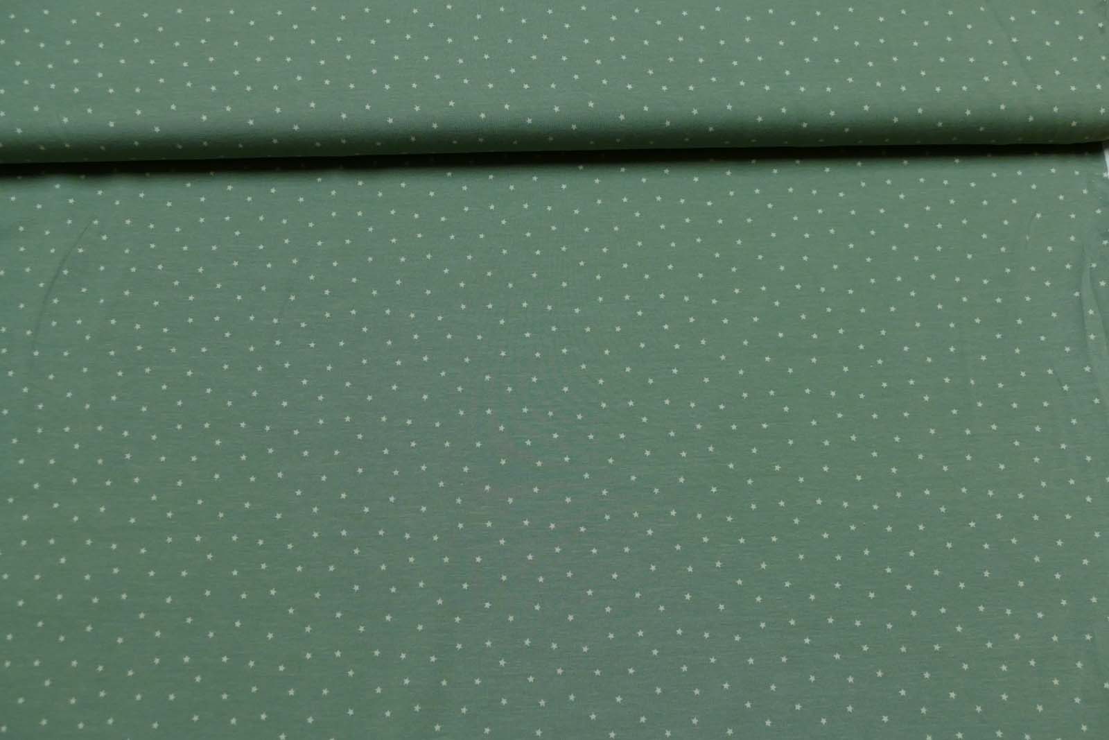Baumwolljersey Sterne mini grün 661
